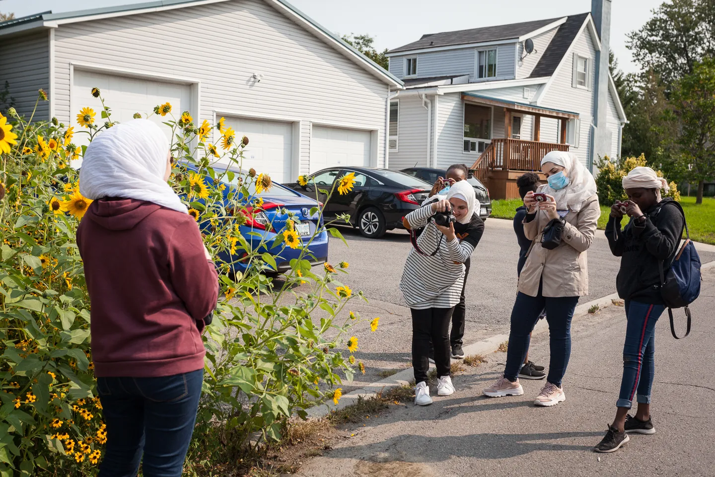 Several people photograph a woman standing beside yellow flowers on a residential street.